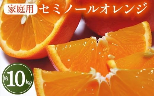 
            【先行予約】【春の美味】【農家直送】爽快カンキツ　セミノールオレンジ（ご家庭用）約10kg ｜ 柑橘 フルーツ 果物 くだもの 食品 人気 おすすめ 選べる 国産 美浜町
          