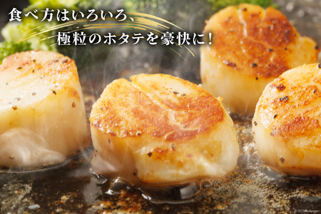ホタテ 極粒 帆立貝柱 冷凍 （約500g/10粒前後) 