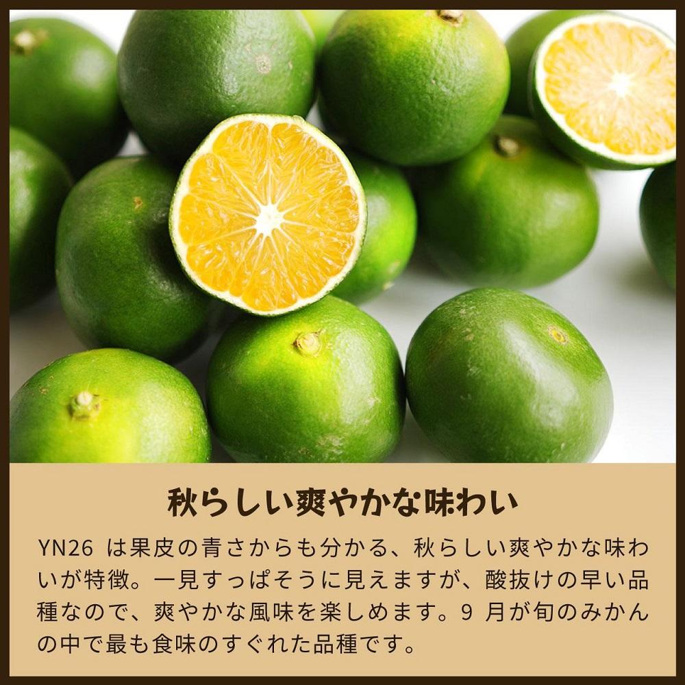 YN26　5kg家庭用｜和歌山で生まれた極早生みかんの新品種【2025年9月発送開始】