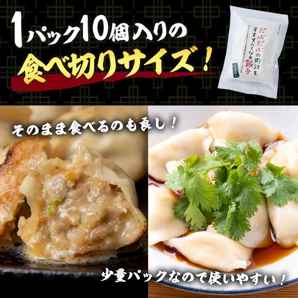 だぶだぶの肉汁をすすりたくなる餃子 20個（10個入×2パック） BE012