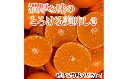 山本農園のクレメンティン 3kg 【2027年1月下旬～3月上旬】 クレメンティン みかん 柑橘 国産 オレンジ マンダリン 希少 ジューシー くだもの 果物 フルーツ 新鮮 贈り物 ギフト 佐賀県 