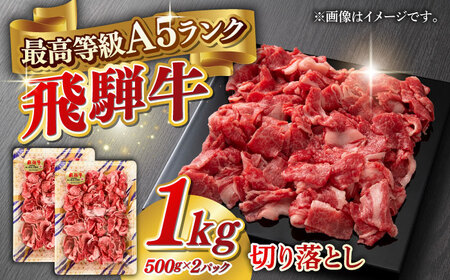 牛肉 A5等級 飛騨牛 切り落とし 1kg(500g×2パック) [ANGY015] 牛肉
