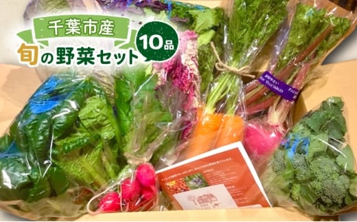 旬の野菜セット 10品 野菜 野菜セット 野菜詰め合わせ 詰め合わせ やさい 千葉市 千葉県 [№5346-1965]