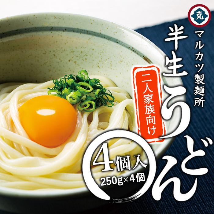 【ふるさと納税】半生うどん 250g×4個　2人家族向け | 小豆島 饂飩 麺 めん 麺類 お取り寄せ グルメ 人気 おすすめ 香川県