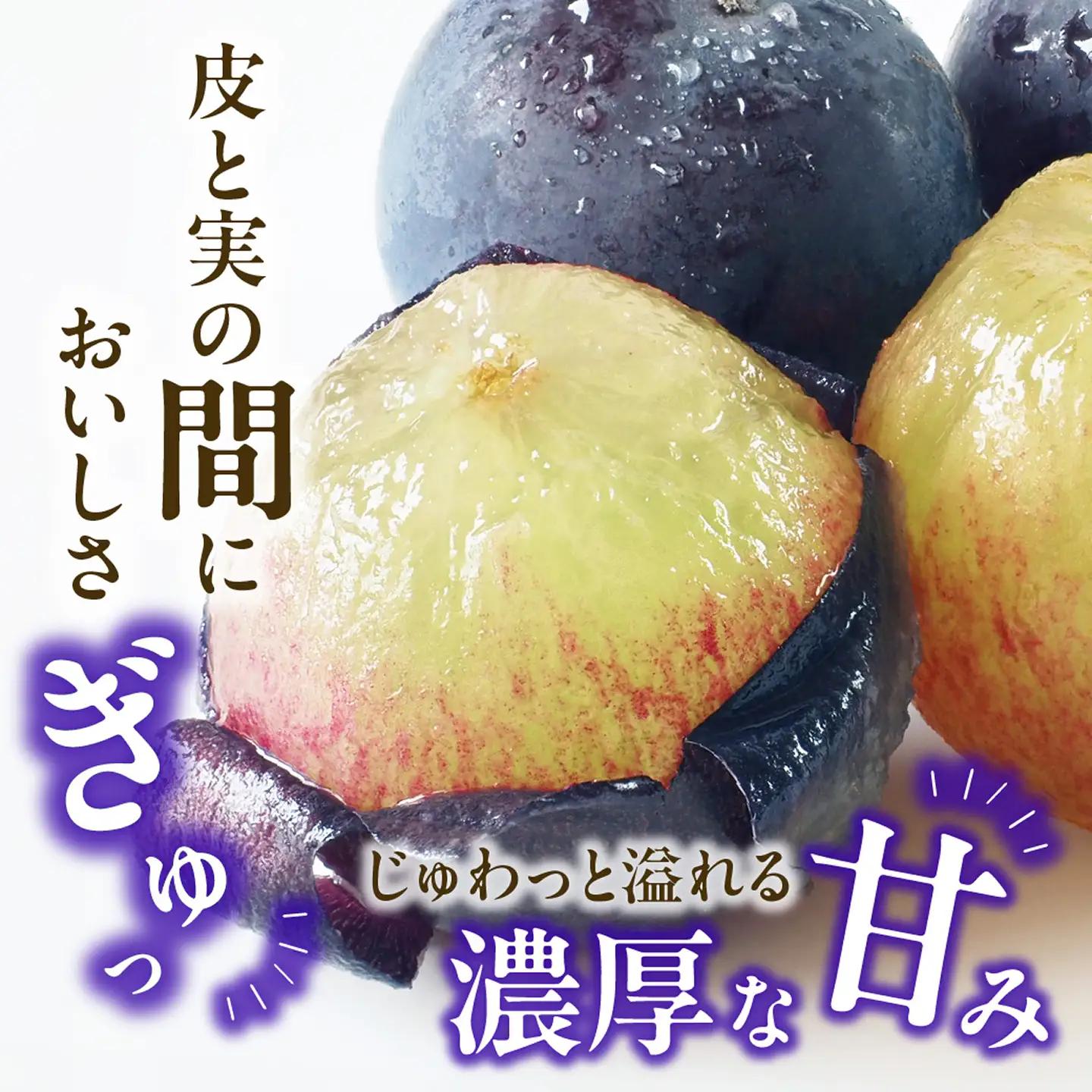 【2026年発送分 先行受付スタート！】【定期便】岡山県産 白桃 約4kg・ぶどう 約5kg 計５回発送【桃 ぶどう】