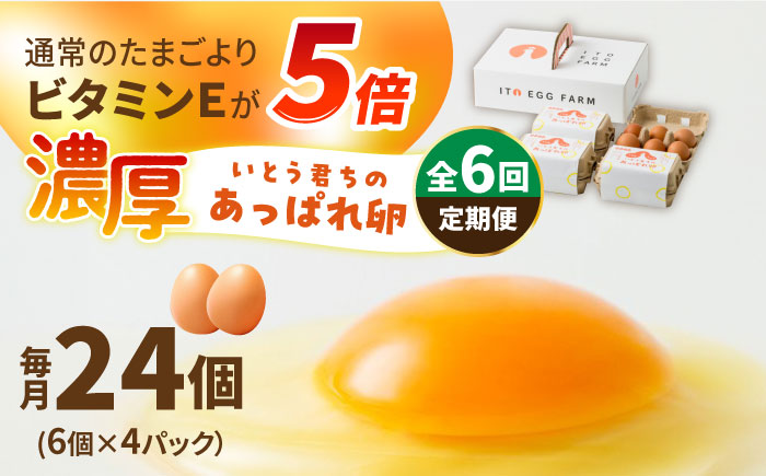 【6回定期便】いとう君ちのあっぱれ卵 24個（6個×4パック）ギフトBOX /いとう養鶏場 [UAQ010] 卵 たまご 鶏卵