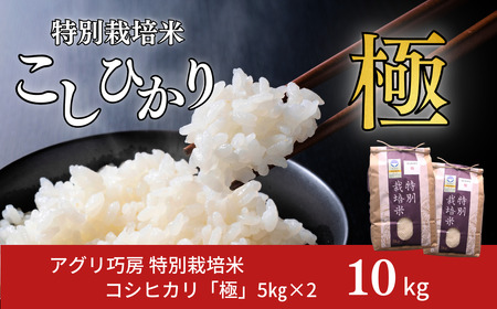 特別栽培米 コシヒカリ 「極」 10kg (5kg×2袋) 令和7年産 一等米 こしひかり 新潟県認証 精米 アグリ巧房【024S027】