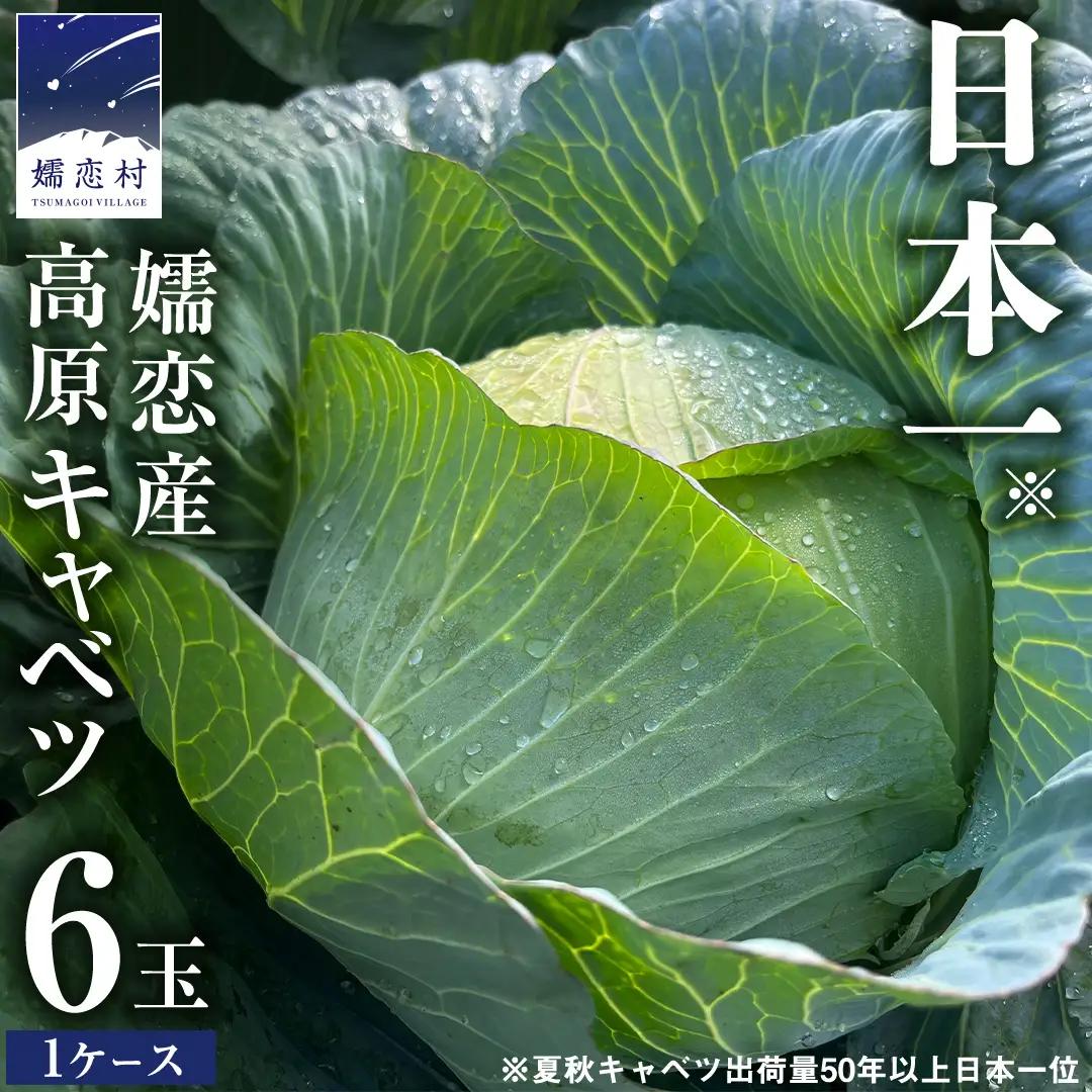 ＜レビューキャンペーン開催中＞ 【7月中旬発送開始】 嬬恋キャベツ 嬬恋産 高原 キャベツ 6玉 1ケース Lサイズ 先行予約 2026年発送 [AS007tu]