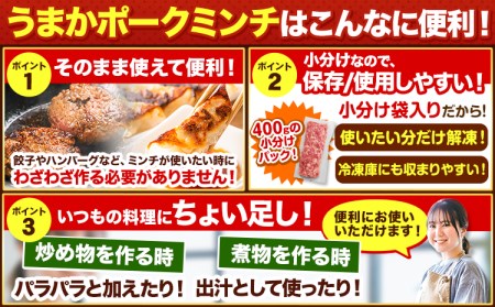 【12ヶ月定期便】豚肉 ミンチ 5.4kg 豚  小分け 訳あり 訳有 ひき肉 うまかポーク 傷 規格外 ぶた肉 ぶた 真空パック 数量限定 簡易包装 冷凍 《お申込み月の翌月から出荷開始》