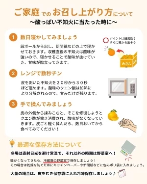 不知火 ( しらぬい ） 3kg 家庭用 (大好きしらぬい)　/ デコポン 甘い 和歌山 有田 柑橘 産地直送 農家直送 手選果 ※2月中旬～3月下旬に順次発送予定  【nkh010-c-3A】