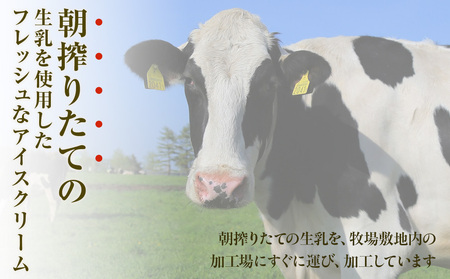 細澤牧場アイス 12個