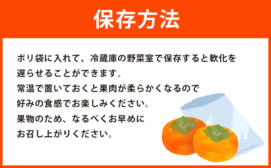  福岡県産 ブランド柿・秋王 約1.5kg(4～6玉)