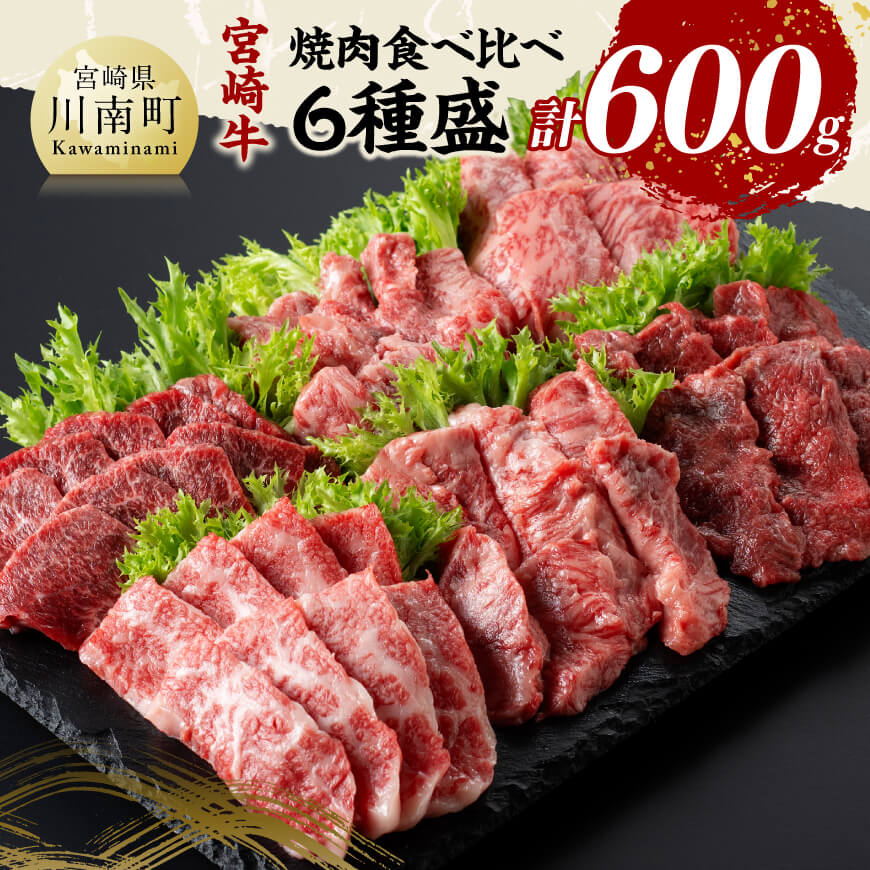 【ふるさと納税】※レビューキャンペーン※宮崎牛 焼肉 食べ比べ 6種盛 600g - 肉 牛肉 国産 宮崎県産 黒毛和牛 和牛 焼肉 バーベキュー 送料無料 D11417