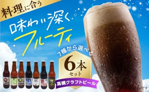 高槻クラフトビール TAKATSUKI FIRST STAR 6本 お酒 ビール クラフトビール 瓶 ギフト 大阪府高槻市/株式会社C-style [AOCI015]