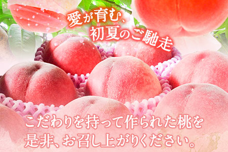 六月のはなよめ 約1.8～2kg 熊本県荒尾市産 桃 高口果樹園 【日付指定不可】《6月上旬-6月下旬頃出荷》六月の花嫁