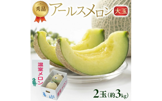 芳醇な香りと美しい網目 「秀品 アールスメロン」　約3kg(青肉 大玉/2玉入) SA2950