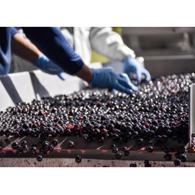 ふるさと納税 池田町 十勝ワイン 赤にこだわったビンテージ 12本セット |  | 02