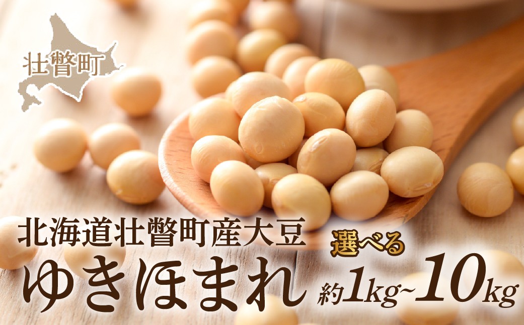 
                  北海道壮瞥町産大豆 ゆきほまれ 選べる内容量 約1～10kg 【 ふるさと納税 人気 おすすめ ランキング 大豆 だいず ゆきほまれ 1kg 安全 安心 国産 大豆 煮豆 納豆 味噌 豆腐 豆乳 北海道 壮瞥町 送料無料 】 SBTQ006-v
                