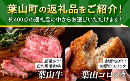 【あとから選べる】葉山町ふるさとギフト 400万円分 牛肉 葉山牛 プリン スイーツ 宿泊券 旅行 定期便 神奈川 葉山[ASZU012]