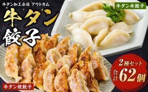 
            牛タン加工会社　アウトカム　牛タン餃子２種セット
          