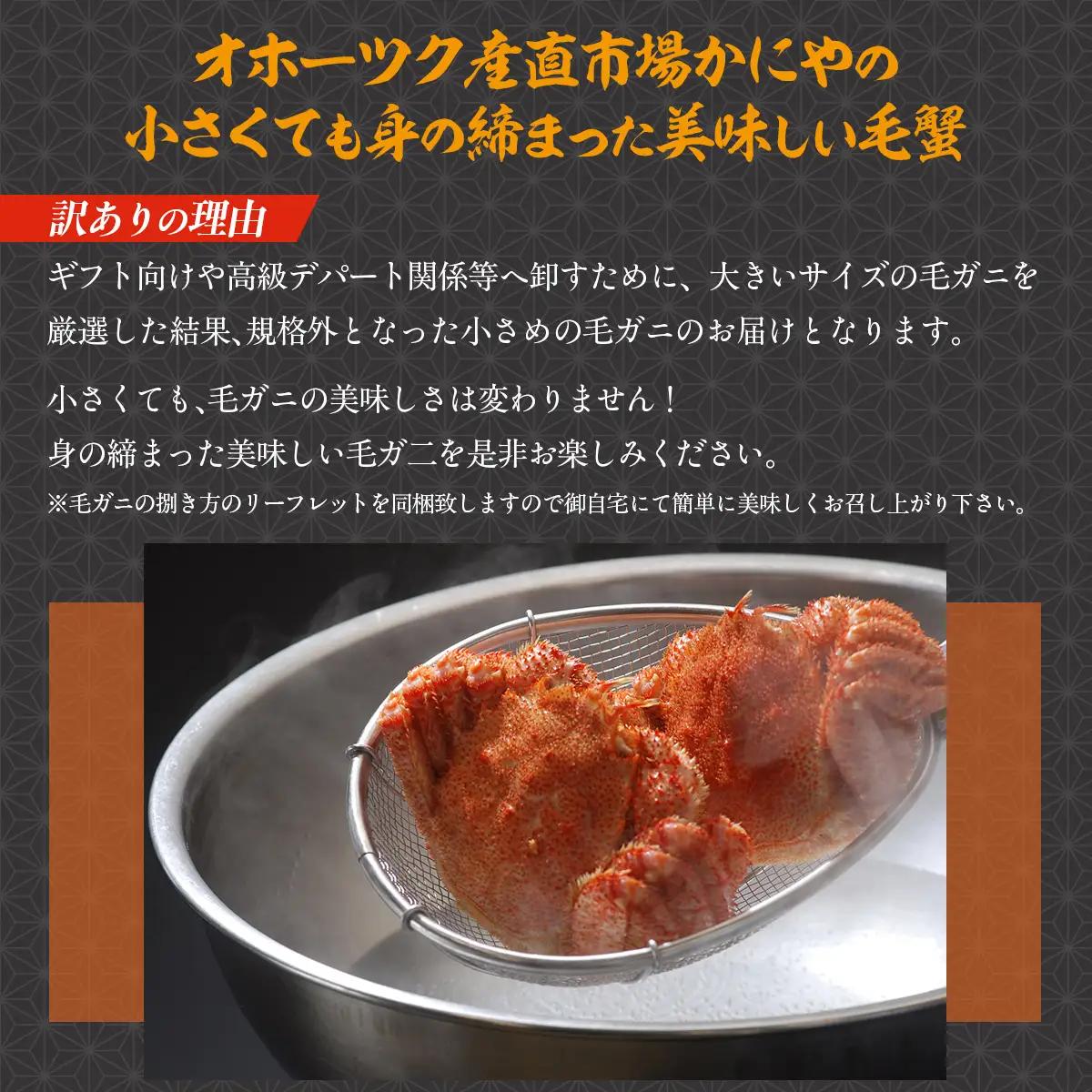 【訳あり】活〆茹で毛蟹1尾 約300g 【ふるさと納税 人気 おすすめ ランキング カニ かに 蟹 毛がに 毛蟹 毛ガニ 活〆 茹で 茹で毛ガニ 活〆毛ガニ 活〆毛がに 訳あり 海鮮 オホーツク 北海
