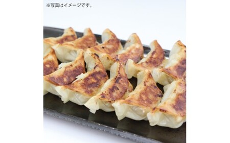 AH071.博多一風堂ひとくち餃子（16セット）
