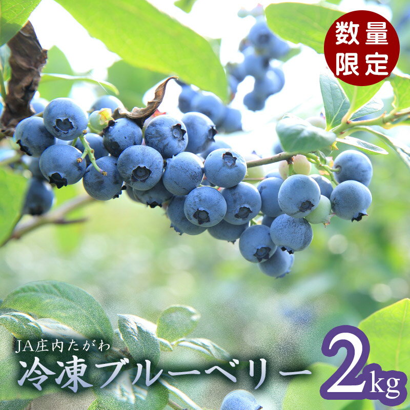 【ふるさと納税】【数量限定】令和7年産 冷凍ブルーベリー 2kg 山形県庄内産 K-739 | 冷凍フルーツ 果物 くだものお取り寄せグルメ 国産 食べ物 たべもの 食品 ご当地 特産品 大容量
