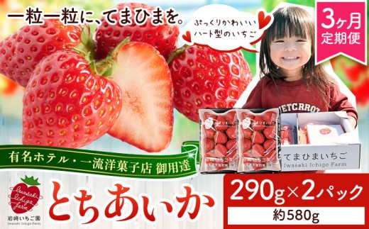 いちご 栃木県芳賀町産いちご とちあいか 2パック 580g 3ヶ月定期便《2027年1月上旬-4月下旬頃出荷予定》岩﨑いちご園 果物 フルーツ 苺 イチゴ 栃木県 芳賀町 【配送不可地域あり】(沖縄・離島)