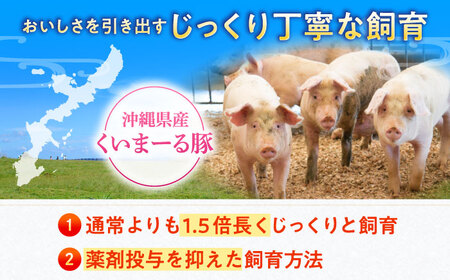 沖縄県産豚肉 くいまーる豚 焼肉セット (ロース・バラ) 計2.4kg (200g×各6P) 豚バラ 豚ロース スライス 焼き肉 小分け 沖縄市 / 宮城ふぁーむ[BCAJ002]