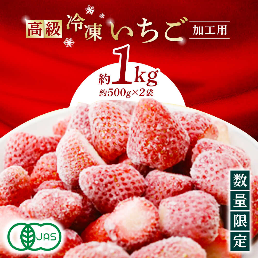 【ふるさと納税】高級 冷凍 いちご 加工用 約1kg（約500g×2袋）【伊藤農園】[ZBB003]
