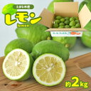 【ふるさと納税】 国産レモン 2kg | レモン 柑橘 柑橘類 国産 塩レモン レモネード レモンサワー はちみつレモン ビタミン レモンティー 生産者直送 産地直送 玉名市 玉名 熊本 送料無料