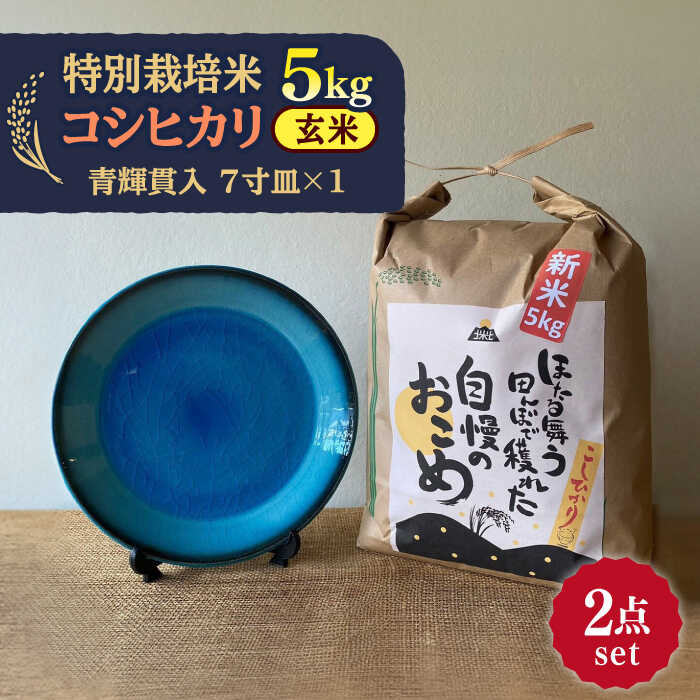【ふるさと納税】【令和7年産】 玄米 コシヒカリ 特別栽培米 （5kg）+ 【美濃焼】 青輝貫入 7寸皿 多治見市 / 山松加藤松治郎商店 [TEU054]