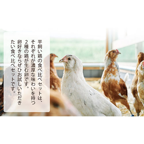 平飼いニワトリの食べ比べ卵セット 計30個(割れ保障3玉含む) 《90日以内に出荷予定(土日祝除く)》株南阿蘇ケアサービス---sms_ccareegg_90d_21_14500_30i---