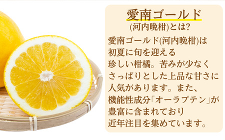 定期便 愛南ゴールド 入り 甘酒 ( 170g × 20 本 )  3回 計60本 毎月 お届け あまざけ あま酒 河内晩柑 米 パウチ 170g 持ち運び 片手 手軽 夏バテ 冷え 冷え性 栄養 栄