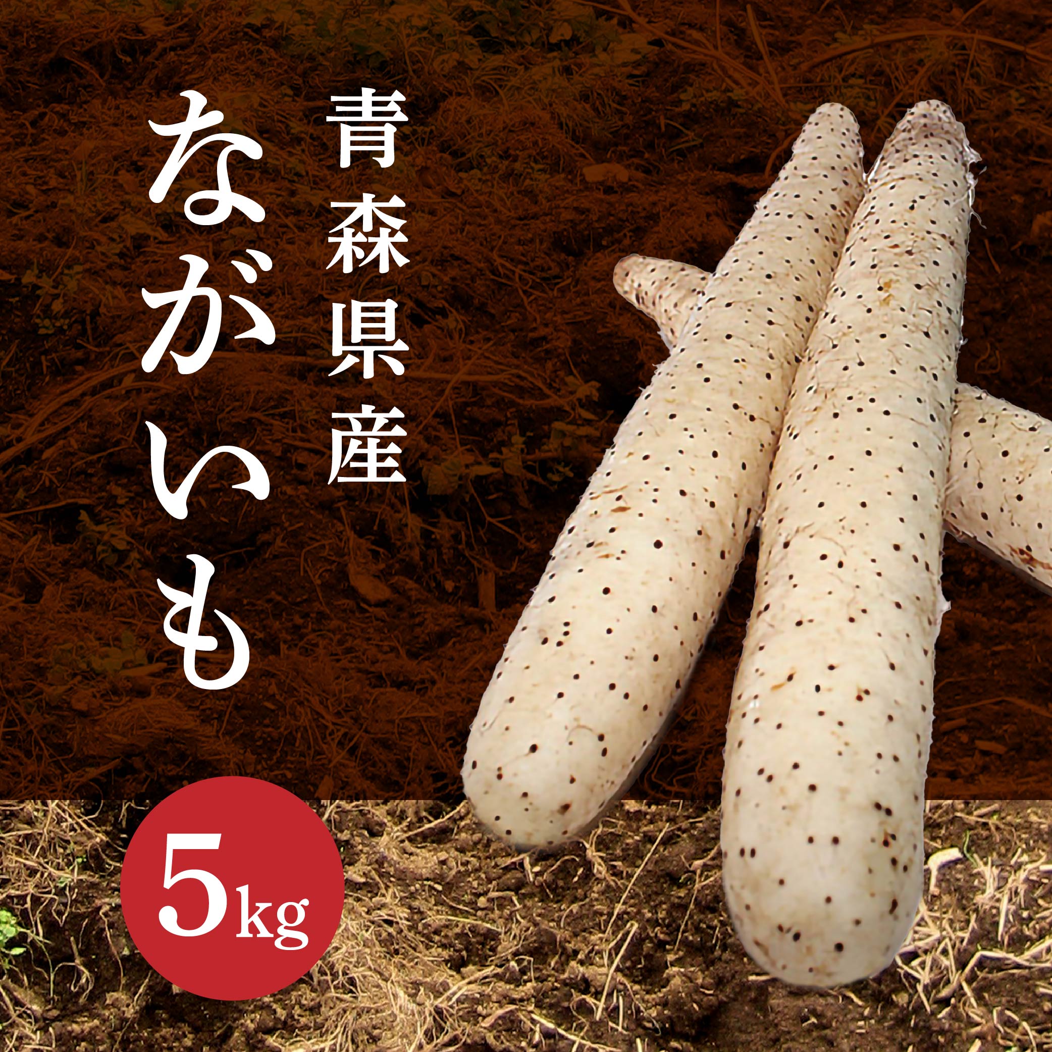 【ふるさと納税】ながいも 5kg 長芋 野菜 根菜 山芋 農産物 とろろ 調理 皮がむきやすい 春 国産 青森産 送料無料