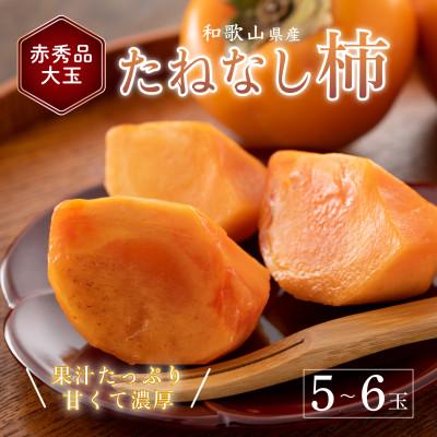 ふるさと納税 古座川町 先行受付!　柿　種無し　赤秀品　大玉　5〜6個　約2kg  こだわり農家厳選!
