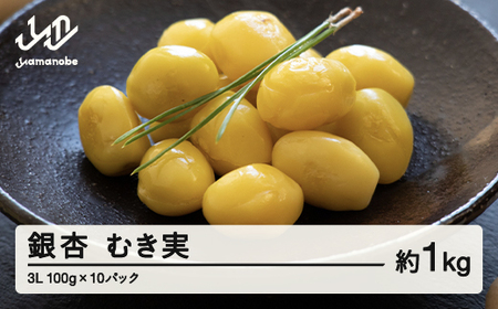 ≪先行予約≫ 山形県産 銀杏 むき実 3L 約1kg（100g×10パック） ぎんなん おつまみ 真空パック 個包装 小分け 秋 野菜 F20A-929