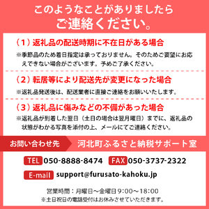 ※2025年発送※【令和7年産】朝採り＆当日出荷！イチ押し農家さんの朝採りさくらんぼ「佐藤錦」秀品 1kg（500g×2パック）バラ詰め 山形県河北町産【河北町観光協会】