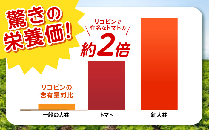 【甘さと栄養を100%凝縮！】真っ赤な人参 「紅天神」 キャロットジュース 720ml×2本 / にんじん ニンジン 人参 キャロット きゃろっと ジュース　じゅーす きゃろっとじゅーす / 諫早市 