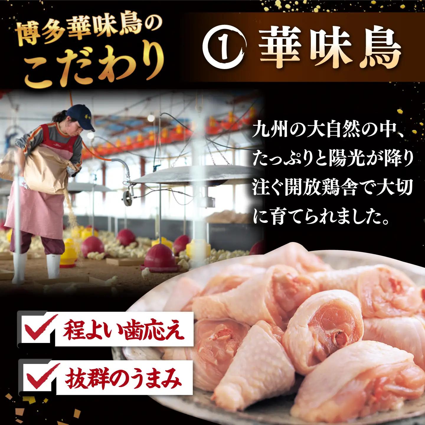 【全3回定期便】博多華味鳥 水炊き セット 3-4人前 （ぽん酢・柚胡椒付） 桂川町/トリゼンフーズ [ADBN004] 鶏 鍋 鍋セット お鍋 お取り寄せ 3人前 4人前 定期便