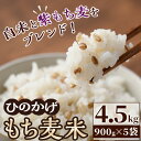 【ふるさと納税】＜令和6年産＞宮崎県日之影町産もち麦米(900g×5袋) 紫もち麦 ヒノヒカリ 米 精米 国産 小分け 【AF001】【株式会社ひのかげアグリファーム】