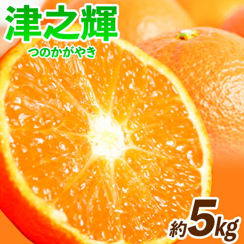 【ふるさと納税】【先行予約】津之輝(つのかがやき) 約5kg 株式会社魚鶴商店《2026年2月上旬-3月中旬頃出荷予定》 和歌山県 日高町 柑橘 フルーツ