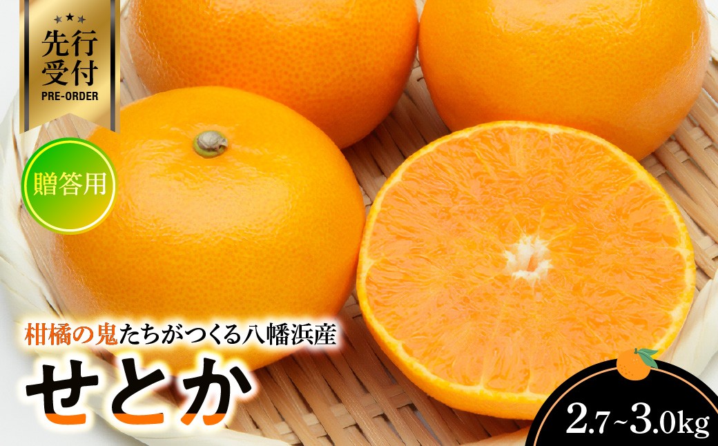 
                  【先行受付】柑橘の鬼たちがつくる八幡浜産・せとか(2.7kg～3.0kg)[贈答用]＜D56-21＞ミカン みかん 常温 フルーツ 果物 くだもの 人気 柑橘 かんきつ 愛媛 旬 産地直送 産直 八幡浜 ふるさと【1283618】 YWTAS015
                