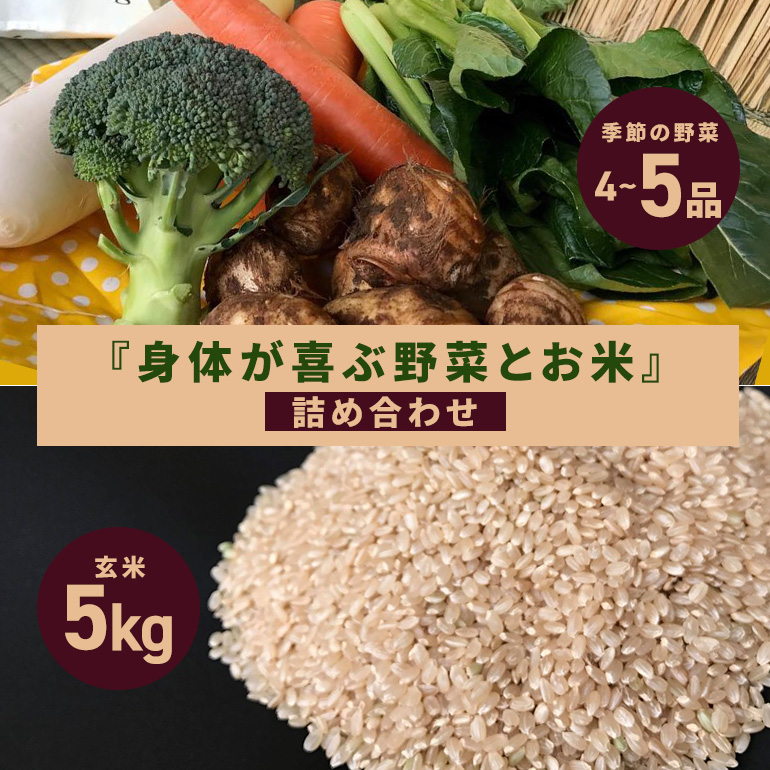 ＜玄米 5kg＞『身体が喜ぶ野菜とお米』詰め合わせ おまかせセット 茨城県産 コシヒカリ 米 お米 ご飯 ごはん 栽培期間中農薬不使用 季節の野菜 セット 微生物農法 EM農法 有機栽培 産地直送 新鮮 家庭用 潮来はぐくみのもり 茨城県 潮来市 (A03-003)