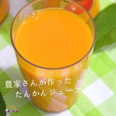 ふるさと納税 徳之島町 【2025年収穫!】完熟の幸せな甘み!徳之島たんかんジュース(2本) |  | 02