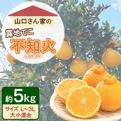 不知火 山口さん家の露地でこ 約5kg L～3L混合【先行予約!2026年2月上旬～発送】(宇城市)【1703934】