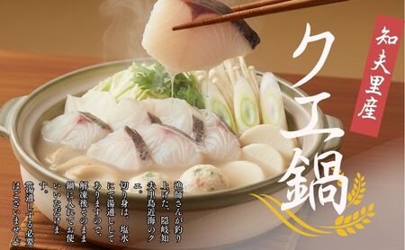 《冷凍》 天然クエ鍋(身200g+あら300gセット)500g（2人前）《知夫里島》クエ くえ クエ鍋 海鮮鍋 天然クエ 鍋500g 離島 くえ鍋 お取り寄せ アラ アラ鍋