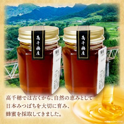 ふるさと納税 高千穂町 日本みつばち 高千穂の純粋蜂蜜 75g×2本 |  | 01