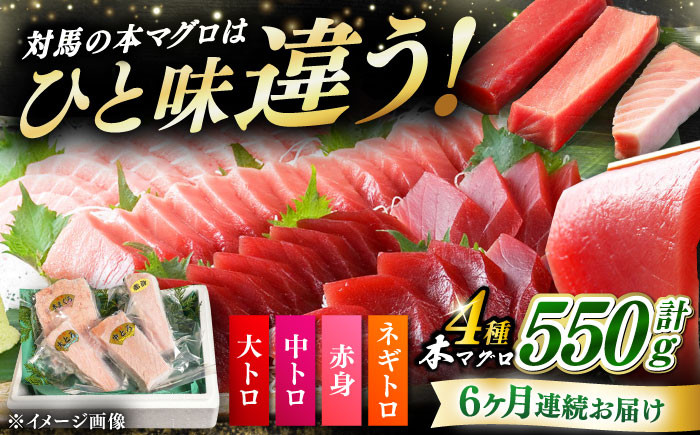 
                  【全6回定期便】対馬産 本マグロ 4種 計550g（赤身/中トロ/大トロ/ネギトロ）《対馬市》 【対海】[WAH016] マグロ まぐろ 鮪 本鮪 本マグロ 養殖 トロ 中トロ 中とろ 大トロ 大とろ 赤身 ねぎとろ ネギトロ たたき 刺身 冷凍 海鮮 魚 柵 お祝い 贈答 定期便 毎月届く
                
