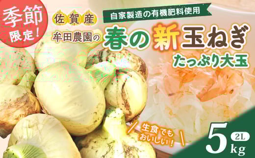 【先行受付】牟田農園の春の新玉ねぎ たっぷり大玉〔2Lサイズ〕５㎏ たまねぎ タマネギ 野菜 新玉ねぎ 玉ねぎ 5kg 玉ねぎ  農家直送 K4x1